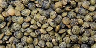 Organic French Green Lentils from 캐나다 supplied by Stonehenge Global Seeds Inc - Green Lentil - French 말린 렌틸
