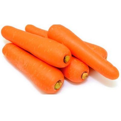 Fresh Carrot from Israel supplied by Gezer Saad - Orange Fresh Carrot