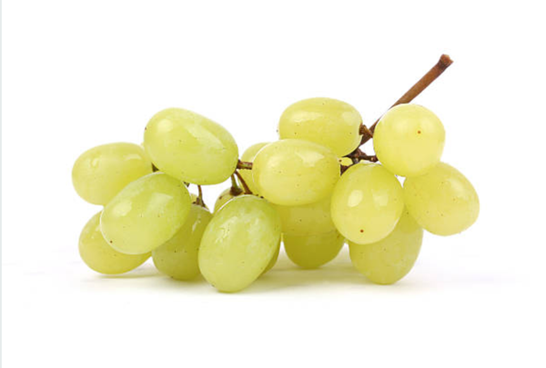 Grapes (Sweet Globe) from Peru supplied by GBP Services - Seedless Fresh Grape
