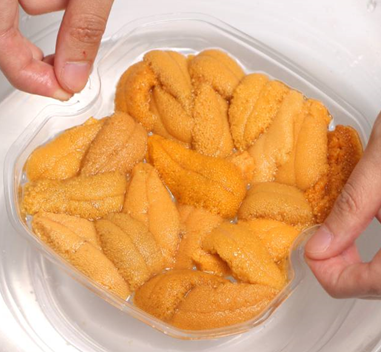 Sea Urchin(Uni) from South Korea supplied by THE PIRATES Co., Ltd. - Fresh (=Chilled=Raw) Fresh Sea Urchin