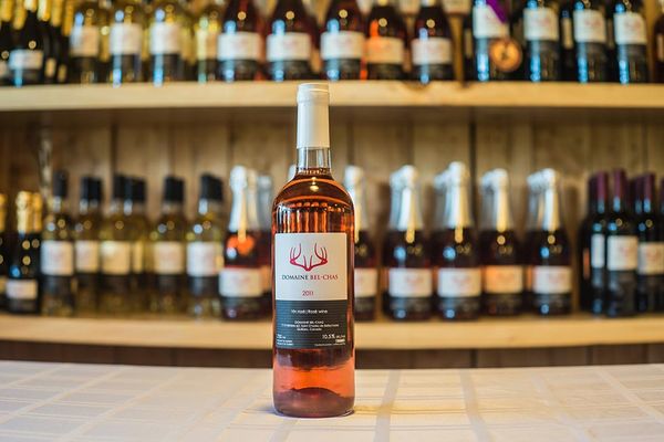 Domaine Bel-Chas Rosé from Canada supplied by Vignoble Domaine Bel-Chas - Rose Wine