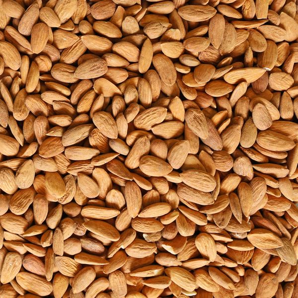 Valencias Almond from Spain supplied by Frutos Secos Fuster SL - Brown Almond Kernel
