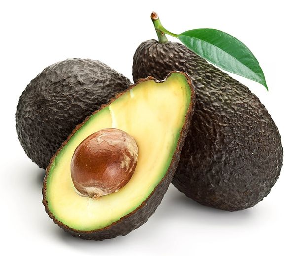 Avocado from 뉴질랜드 supplied by Darling Group - Whole 신선 아보카도
