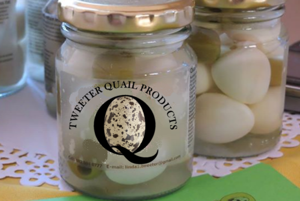 Fresh Whole Quail Egg from South Africa supplied by Tweeter Quail Products - In Shell Quail Egg