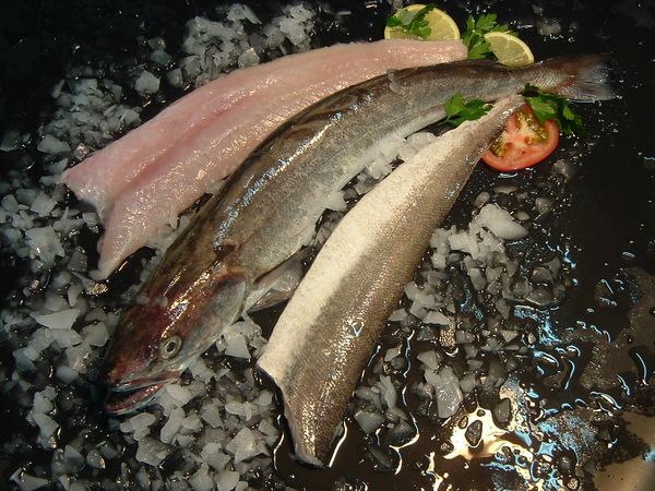 Hake (Merluccius Hubbsi) from 아르헨티나 supplied by Coomarpes LTDA - Skinless (=Without Skin) 냉동 헤이크