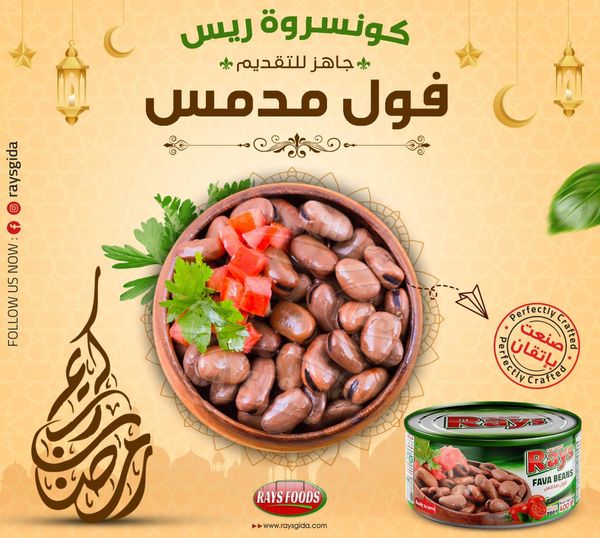 Canned Fava Beans from Turkiye supplied by Rays Foods - Preserved - in Oil Canned or Jarred Common Beans