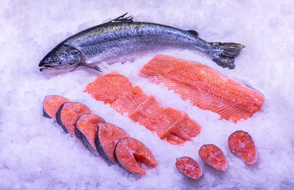 Salmon from Germany supplied by Seeperle OHG - Fresh (=Chilled=Raw) Salmon
