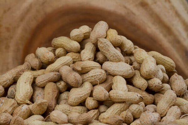 GROUND NUT from 인도 supplied by FARMSON BIOTECH - Size: 7-9 땅콩 알맹이