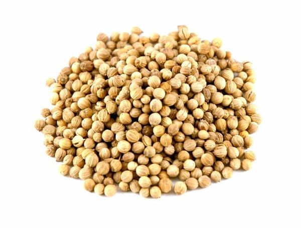 Coriander Seed from Sri Lanka supplied by People’s Organisation for Development Import & Export (PODIE) - Coriander Seed Coriander