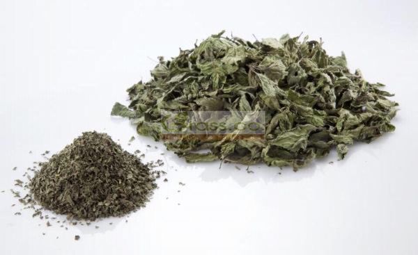 Peppermint from 이집트 supplied by Grass Co. Herbs and Spices - As per customer's request 박하