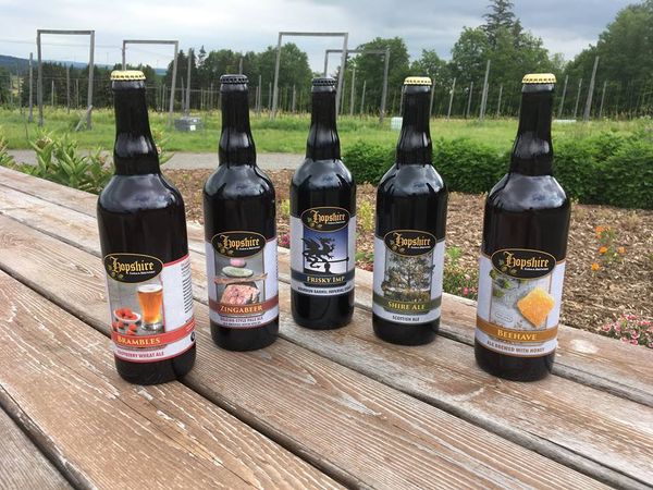 Beer from United States supplied by Hopshire - Dark Other Beer