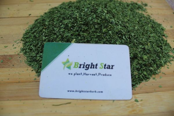 parsley leaves from 이집트 supplied by Bright Star Herbs - 비유기농 아로마틱 허브
