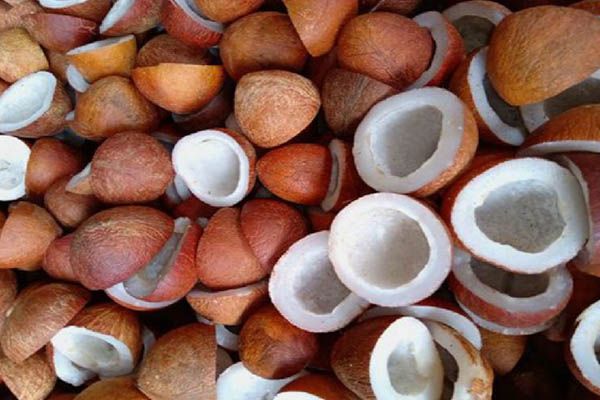 Coconut Fiber from 인도네시아 supplied by Boymaxwell Indojaya Grup Ltd. - 약간 흰색 기타 신선 코코넛