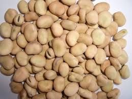 Adzuki Bean from 남아프리카공화국 supplied by Promiseland Import and Export Group - Dried (=Dehydrated) 말린 팥
