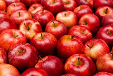 Fresh Apple from 아르헨티나 supplied by Fudi Food Corp - Red 신선 사과