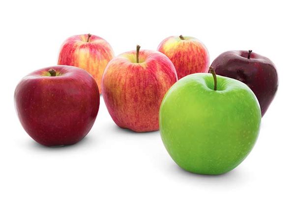 Apple from 캐나다 supplied by Norfolk Fruit Growers' Association - Northern Spy 신선 사과