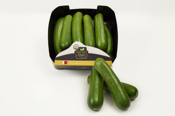 Fresh Cucumber from Qatar supplied by Agrico Agriculture Developement - Fresh (=Chilled) Fresh Cucumber