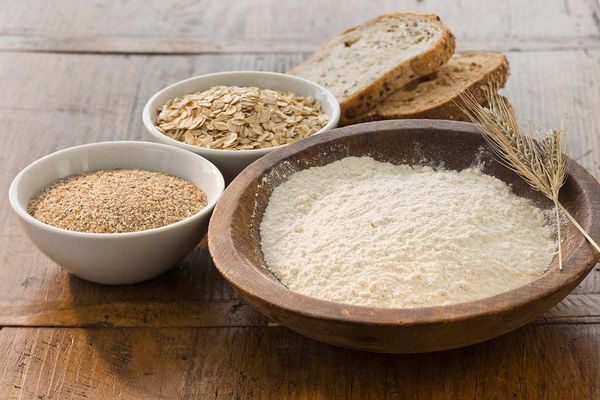 Wheat from Czechia supplied by Dylen Farm - Organic Wheat