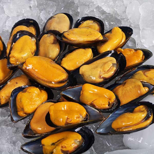 Half Shell Mussels from 중국 supplied by Dandong Grand Ocean Foods Co.,Ltd. - Half Shell (=Half Shelled=Half Shucked) 냉동 홍합