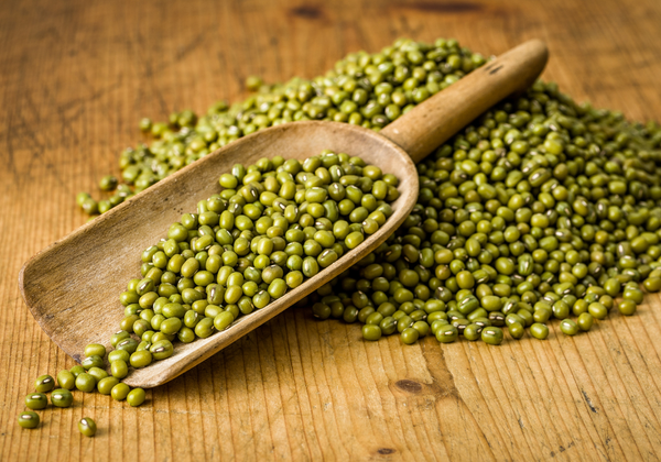 Mung Beans from 인도네시아 supplied by Agro Raya Nuswantara - 좋은 품질 말린 녹두