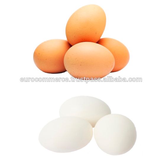 Fresh white and brown chicken eggs from Ukraine from Ukraine supplied by Euro-Commerce LTD - Fresh Chicken Egg