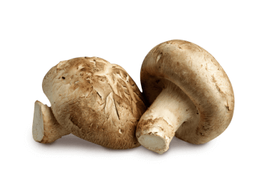 Shiitake Mushroom from Israel supplied by Tekoa Farm - Whole Shiitake Mushroom