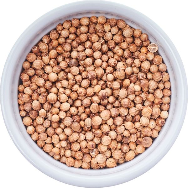 Coriander from 러시아 supplied by MM Agro - Machine Cleaned 고수 씨(홀)