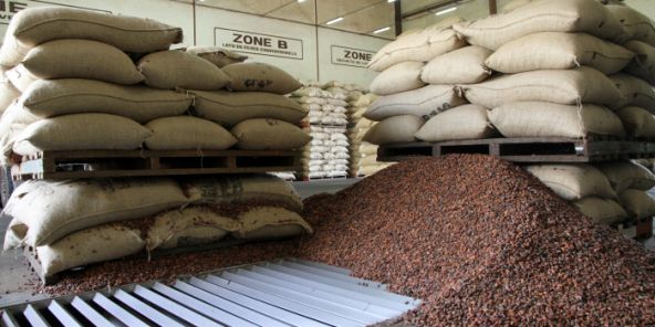 cocoa beans from 코트디부아르 supplied by AFRICA GLOBAL TRADING SARL - Dried 코코아콩