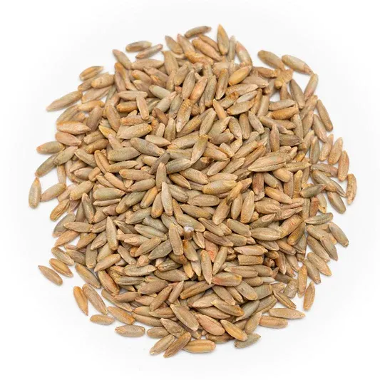 Organic Rye from Germany supplied by Heinrich N. Clausen GmbH & Co. KG - Organic Rye