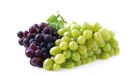 Grapes from Germany supplied by Greenyard Fresh Germany GmbH - Whole Fresh Grape