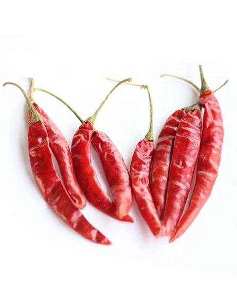 Dry Red Chili from 인도 supplied by Biosthan - Excellent Quality 말린 통고추