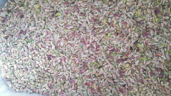 Pistachio from Afghanistan supplied by Zeyaratjah General Trading Ltd. - In-shell Pistachio Kernel