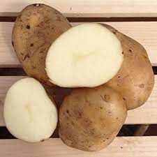 Kennebec Potato from 캐나다 supplied by Atlantic Potato Distributors - Kennebec 신선 일반 감자
