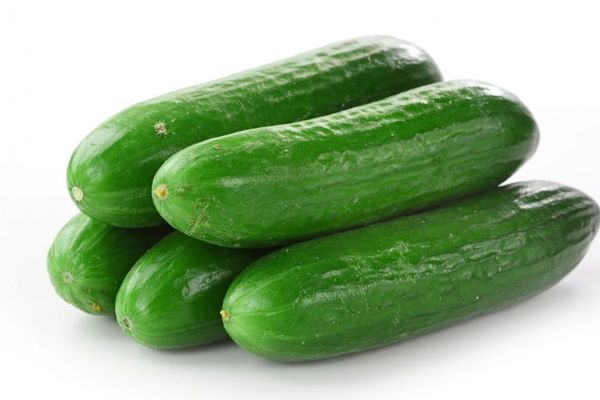 Cucumber from 멕시코 supplied by Premium Fresh Growers, LLC - 생 신선 오이