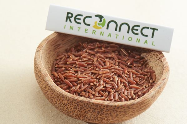 Vietnam Dragon Blood Rice Brown Rice Good Price High Dietary Benefits Using For Food HALAL BRCGS HACCP ISO 22000 Certification from 베트남 supplied by Reconnect International Limited Company - As per customer's request 쌀