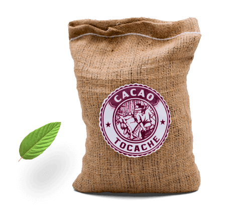 cocoa from 페루 supplied by Cooperativa Agroindustrial Tocache Ltda - Unspecified 코코아콩