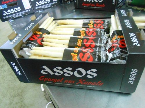 Fresh Whole Asparagus from Greece supplied by AGRICULTURAL COOP. OF ASSOS - White Fresh Asparagus