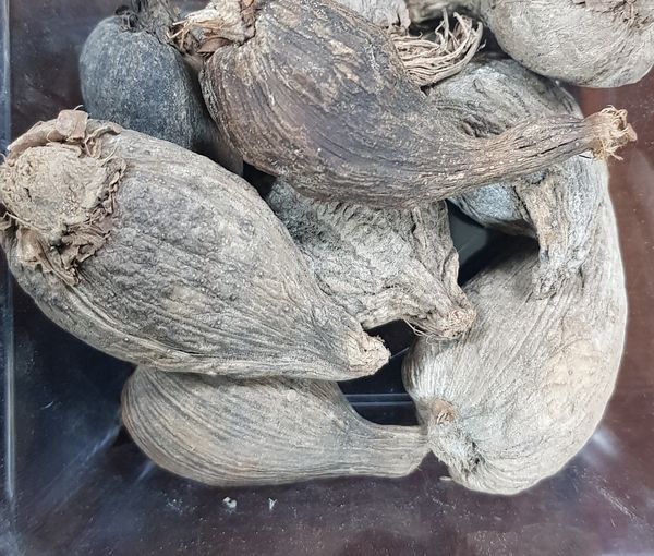 Black Cardamom ( Whole & Seeds ) from Ethiopia supplied by Yso Import-export - Conventional Allspice