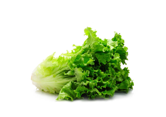 Lettuce from 미국 supplied by D’arrigo Brothers Company - Red 신선 상추