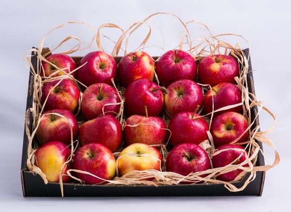 Fresh Alwa Apples from 폴란드 supplied by Agro-Alex sp. z o.o. - Boiken 신선 사과