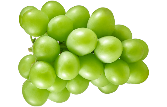 Fresh Grape from Brazil supplied by Agrivale - Nubia (=BRS Núbia) Fresh Grape