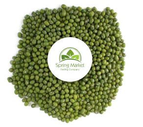 Green Mung Bean from 호주 supplied by Spring Market Trading Company - Ordinary (=Non-scented) 말린 녹두
