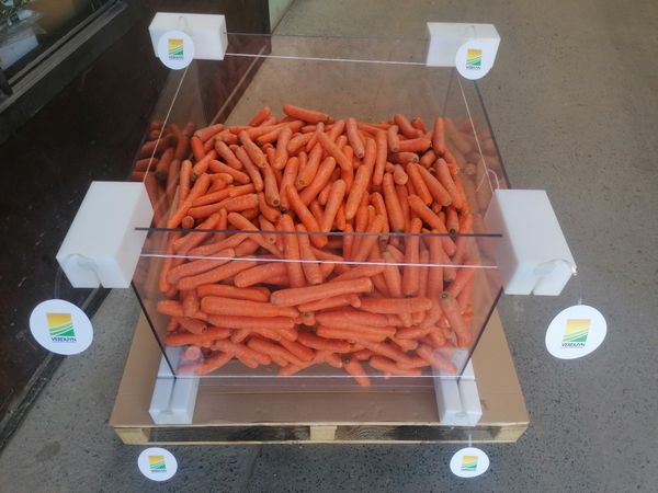 Carrots from 벨기에 supplied by Verduyn - Orange 신선 당근