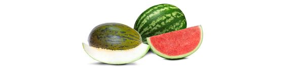 Fresh Whole Watermelon from 스페인 supplied by FRUTINTER, S.L. - Black Rind (=Dark Green Rind) 신선 수박