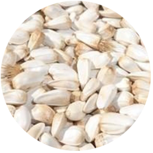 Safflower Seeds from 에티오피아 supplied by Tenaw Alehegn Import Export - Reddish 잇꽃 씨