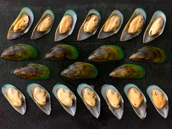 Mussels from New Zealand supplied by Mark Foods Inc - Fresh (=Chilled=Raw) Frozen Mussel
