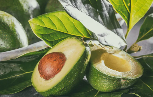 Fresh Whole Avocado from United Kingdom supplied by BANABAY - Carla Fresh Avocado