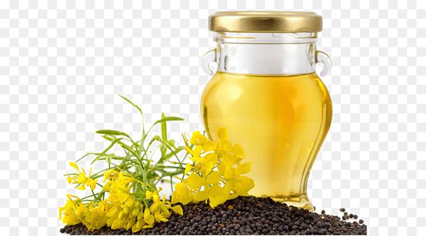 Canola Oil from 말레이시아 supplied by Vant Global Merchant Sdn Bhd - Canola Oil 비정제 카놀라유 및 유채씨유