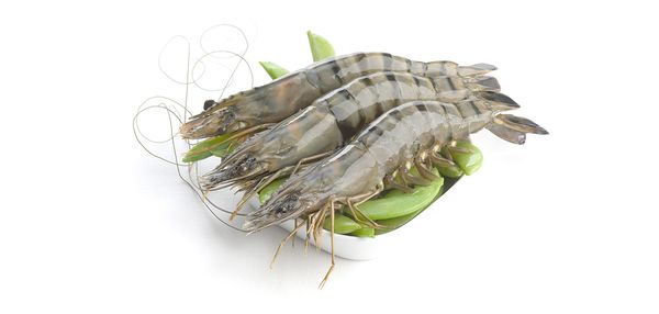 Shrimp from 인도 supplied by Sprint Exports - HOSL (Head On Shell Off) 냉동 새우