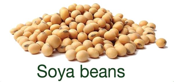 Soybean from 말라위 supplied by Rab Processors Ltd - Raw 대두